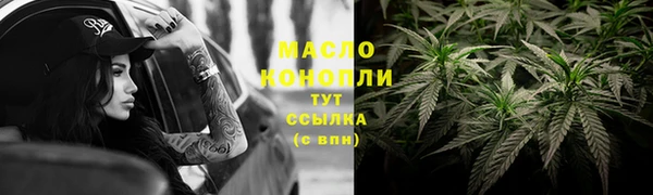 стаф Бородино