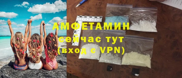 стаф Бородино