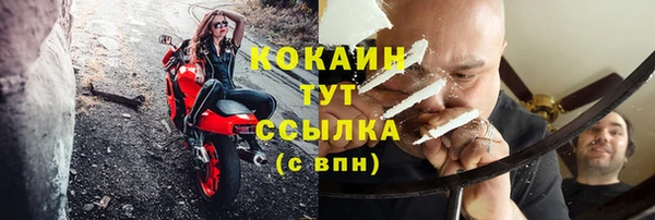 стаф Бородино